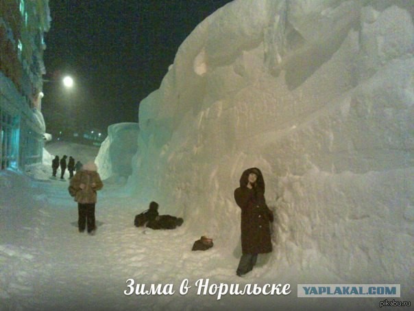 Предновогодняя (зимняя) подборка картинок и приколов