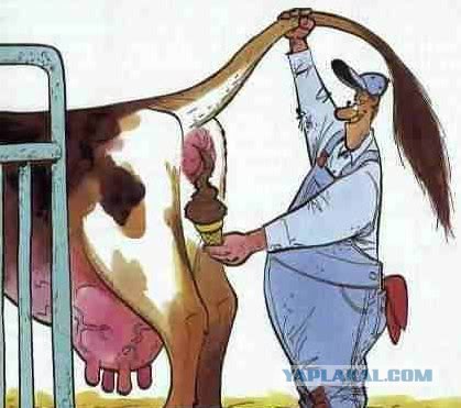 Мороженое в ... где ?