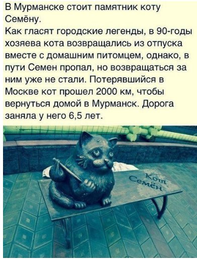 Немного картинок для настроения 28.01.20