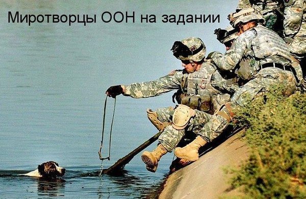 Чуток картинок.  Вечерние