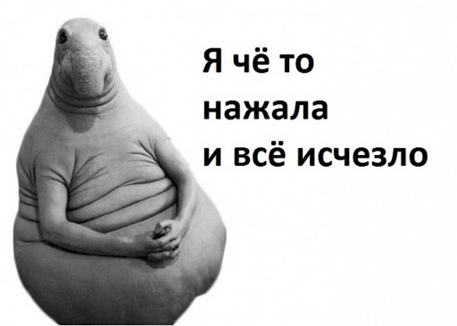 Картинки из этих ваших интернетов 24.02.20