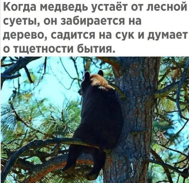 Бредзона 22.03.20