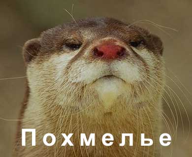 Такие древние, что кажется ты их впервые видишь №5