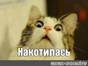 Посадку в Алматы крупнейшего в мире самолета показал на видео пилот