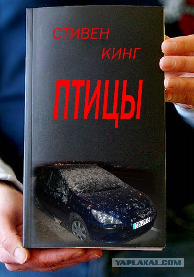 Фотожаба: Книги!