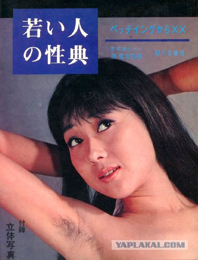 Японский учебник по сексу (15 скринов)