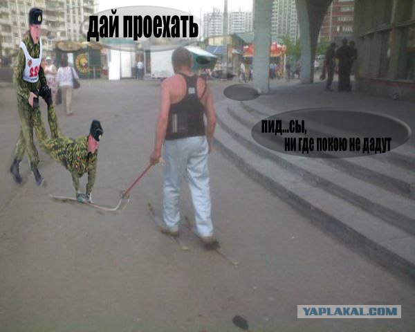 Битва фотожаберов (команда №3), Армия будущего