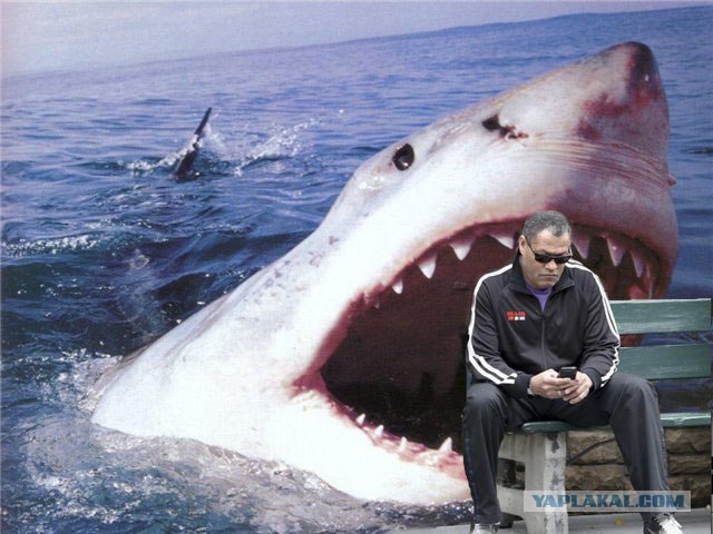 Фотожаба: Ну что же ты, Морфеус?!