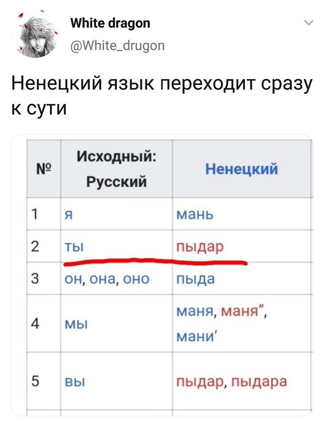 Веселые истории о нас №237