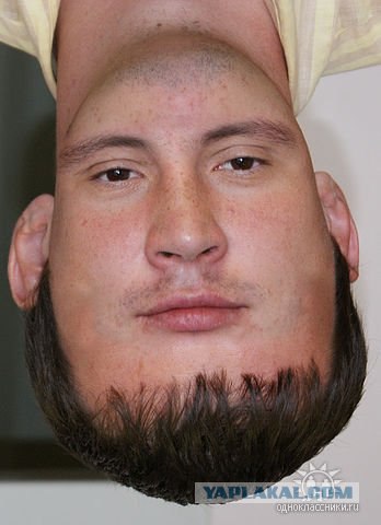 Боги фотошопа