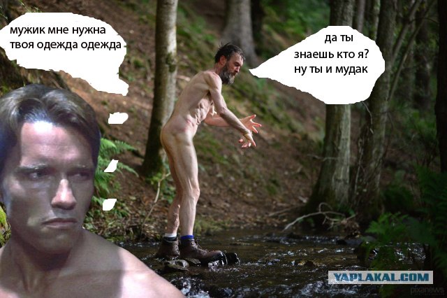 Жабы на тему странного мужика