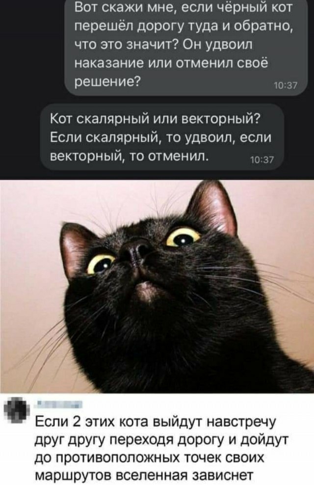 Бредзона 10.03.21