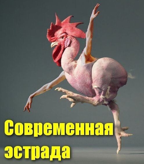 Пьяного Элджея поймали на выезде из Москвы