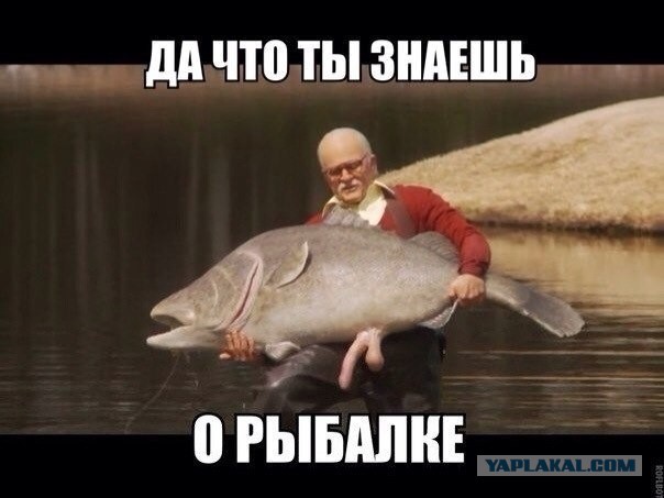 Лещ: Почему лещ = смачная оплеуха? Всё дело в поведении этой рыбы