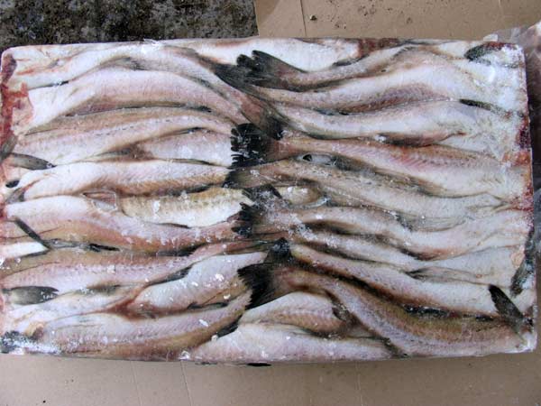 Салат из крабовых по дженибековски.