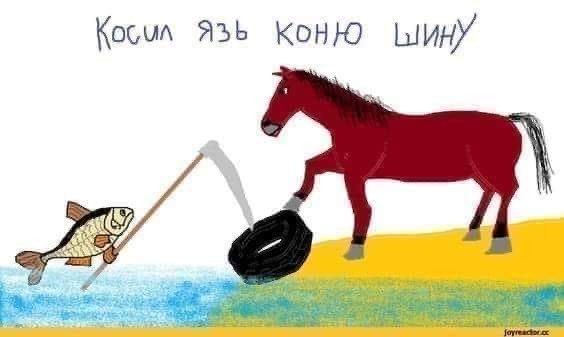 Юмор и прикольные картинки
