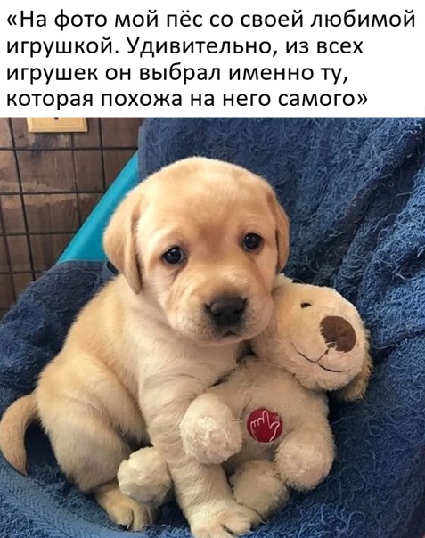 Картинки и мемы для настроения 11.11.2021