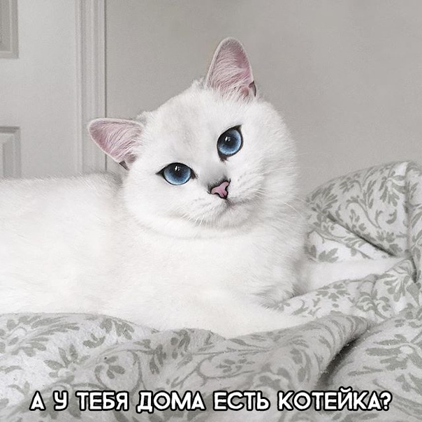 Картинки и мемы для настроения 18.01.2022