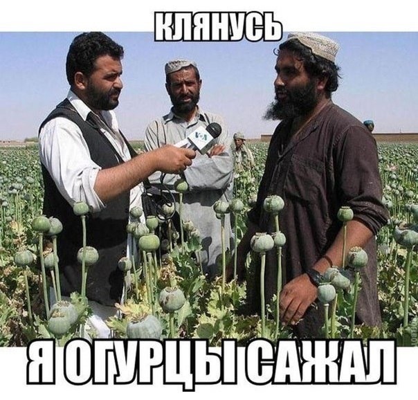 Так себе картинки 18.06.22