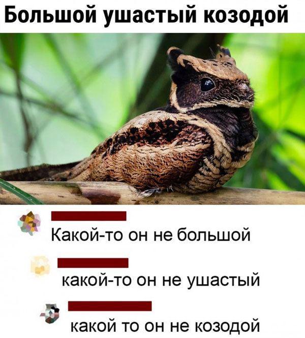 Рамки, буковки. Иногда смешно