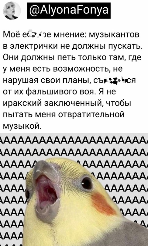 Картинки и мемы, всем хороших выходных