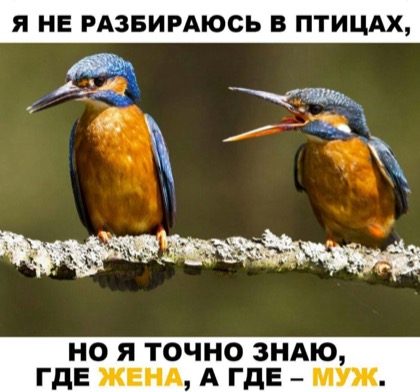 Немного картинок для настроения - 123