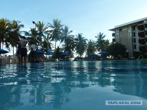 AFRICA - (Эфиопия,Кения,Танзация) 4-16 ноября 2011