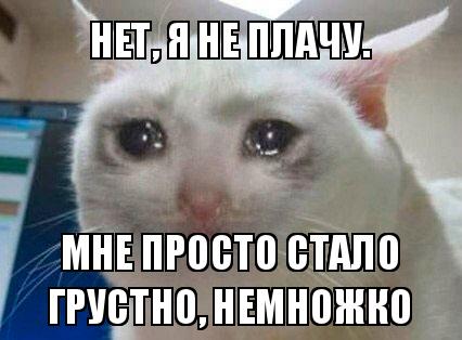 Парикмахер  состриг себе волосы на голове в знак солидарности с больной раком