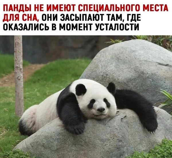 Дело было вечером, выпить было нечего...