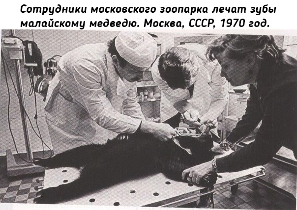 Небольшая подборка исторических фото (18.07)