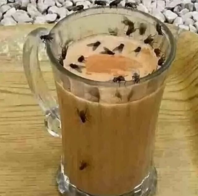 Деграднём?