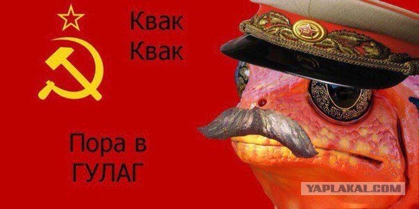 В Находке открыли памятник Сталину