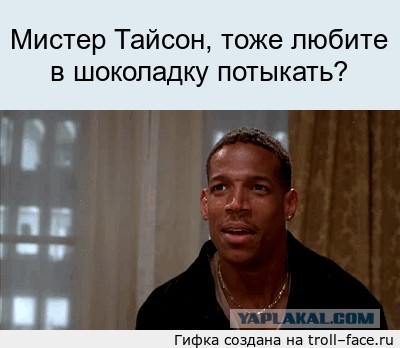 Дикая африканка впервые летит на самолете в Россию