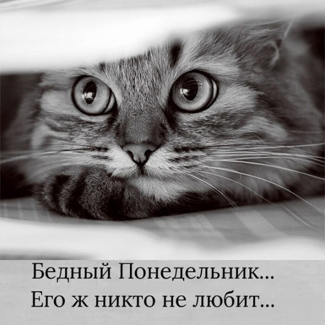 Бояны