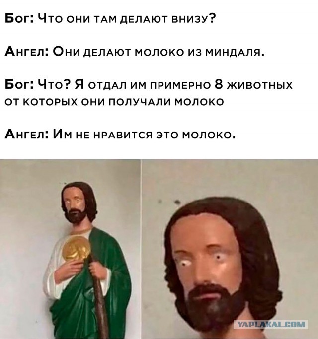 Так себе картинки 04.03.25