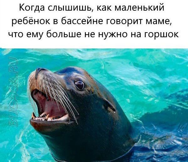 Немного картинок 31.07.25