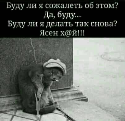 К котовторнику: подборка картинок-баянов с котиками и про котиков. Выпуск 16.
