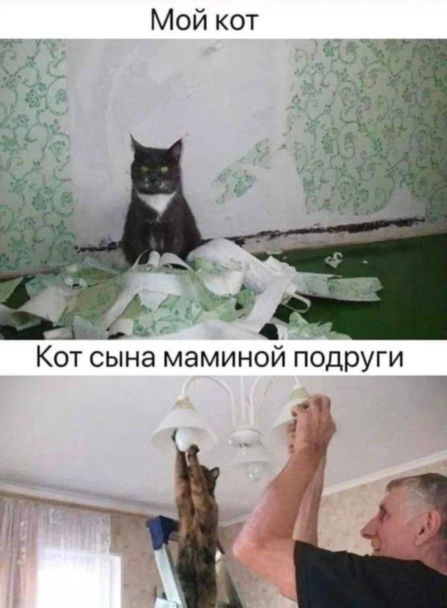 Картинки для деградации 51 (разной степени свежести)
