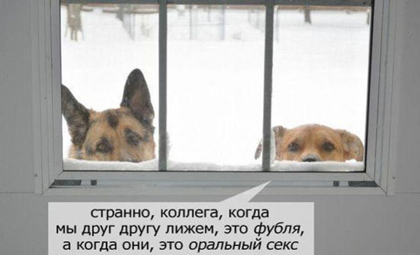 Рамки, буквы, короче - опытная (ну, или старая) дичь