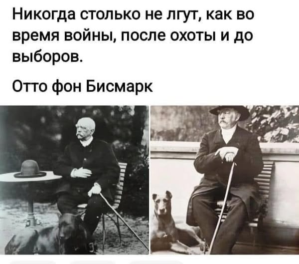 Веселое настроение в картинках