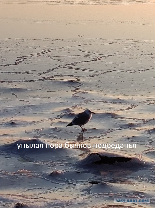 Первый закат этого года