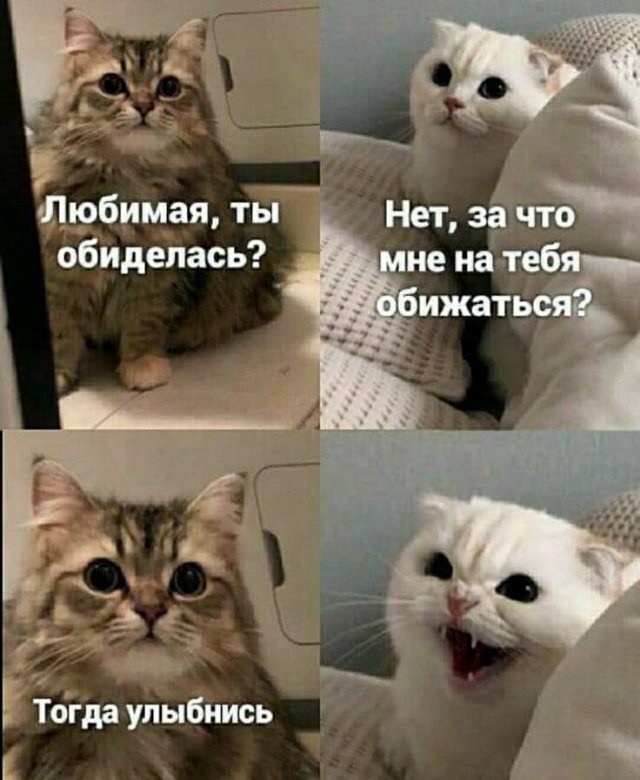 Субботние картинки