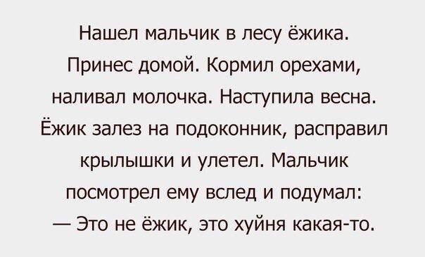 Немного баянчиков на вечер