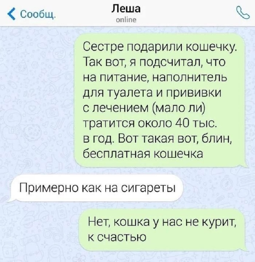 20761028.jpg