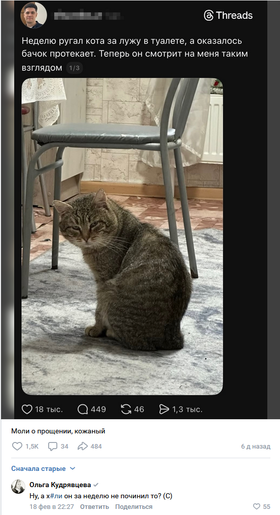 Смешные комментарии из социальных сетей 08.03.2026