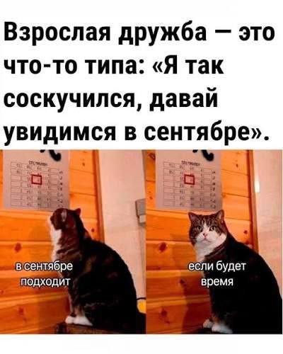 Картиночки, баянчики 16 марта