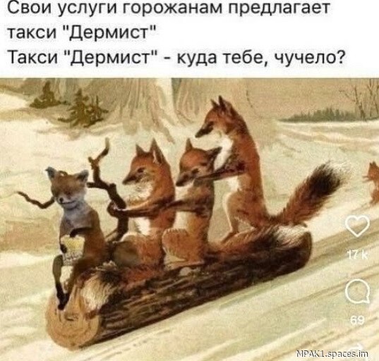 Картинки для деградации 168 (разной степени свежести)