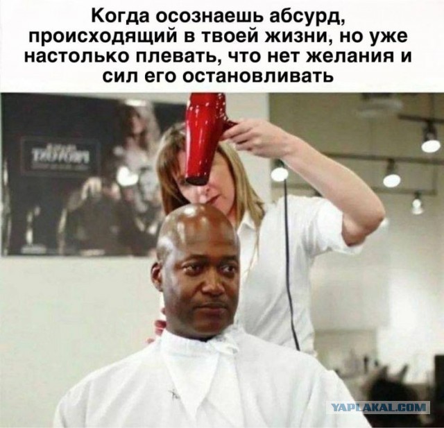 Субботние картинки