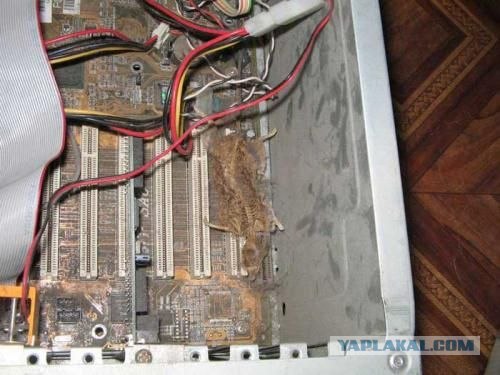 Пыль в компьютерах