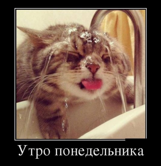 Вдруг из маминой из спальни